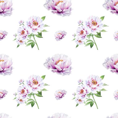 beyaz şakayık çiçekleri pürüzsüz arkaplan resimlemesi