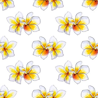 plumeria çiçekler ilerliksiz arka plan deseni