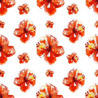 Hibiscus çiçek çerçevesi beyaz izole