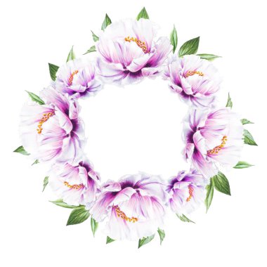 Beyaz arkaplanda beyaz şakayık çiçekleri çerçevesi