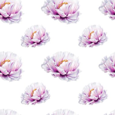 beyaz şakayık çiçekleri pürüzsüz arkaplan resimlemesi