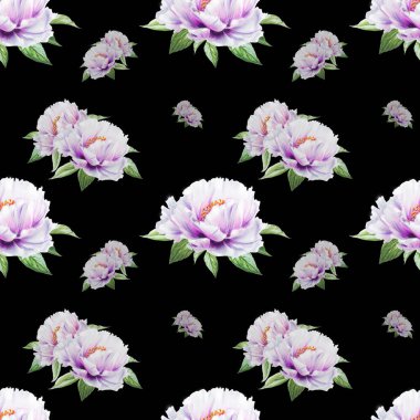 beyaz şakayık çiçekleri pürüzsüz arkaplan resimlemesi