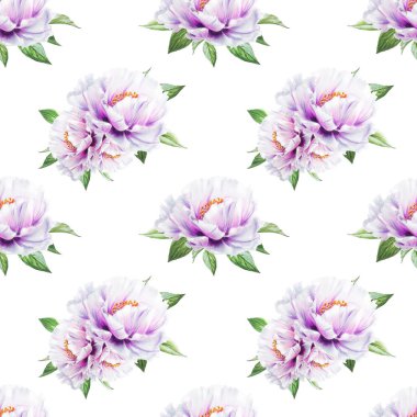 beyaz şakayık çiçekleri pürüzsüz arkaplan resimlemesi