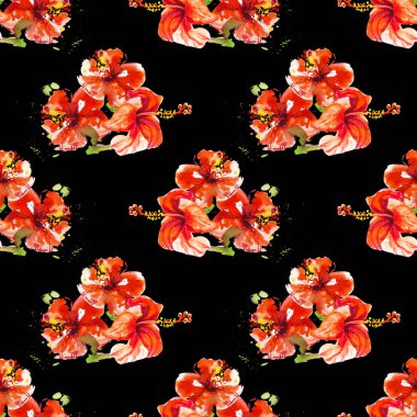 Hibiscus çiçek çerçevesi beyaz izole