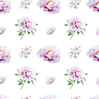 beyaz şakayık çiçekleri pürüzsüz arkaplan resimlemesi