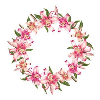 beyaz arka plan üzerinde pembe zambak çerçeve