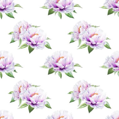 beyaz şakayık çiçekleri pürüzsüz arkaplan resimlemesi