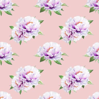 beyaz şakayık çiçekleri pürüzsüz arkaplan resimlemesi