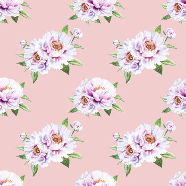 beyaz şakayık çiçekleri pürüzsüz arkaplan resimlemesi