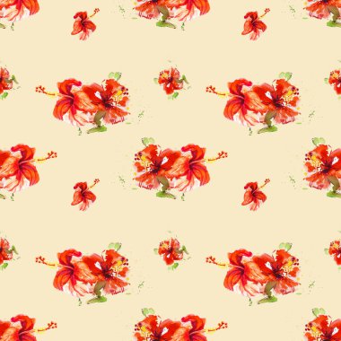 Hibiscus çiçek çerçevesi beyaz izole