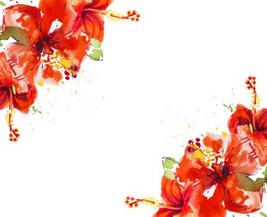 Hibiscus çiçek çerçevesi beyaz izole