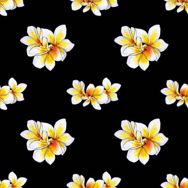 plumeria çiçek çerçeve beyaz izole