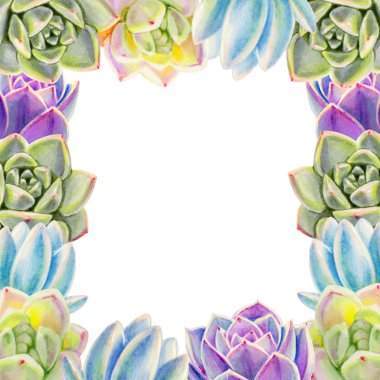 beyaz arka plan üzerinde izole sulu el çizilmiş çerçeve