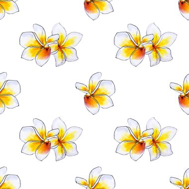 plumeria çiçekler ilerliksiz arka plan deseni