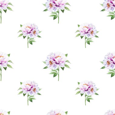 beyaz şakayık çiçekleri pürüzsüz arkaplan resimlemesi