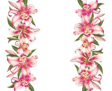 beyaz arka plan üzerinde pembe zambak çerçeve