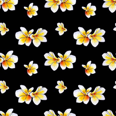 plumeria çiçekler ilerliksiz arka plan deseni