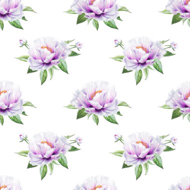 beyaz şakayık çiçekleri pürüzsüz arkaplan resimlemesi