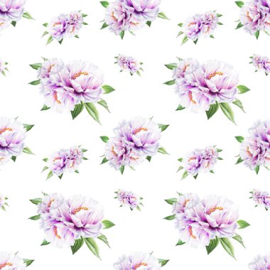 beyaz şakayık çiçekleri pürüzsüz arkaplan resimlemesi