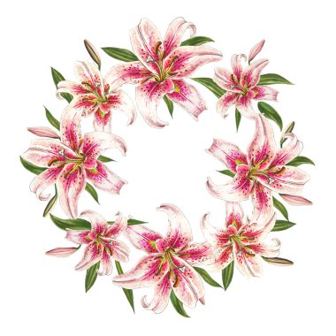 beyaz arka plan üzerinde pembe zambak çerçeve