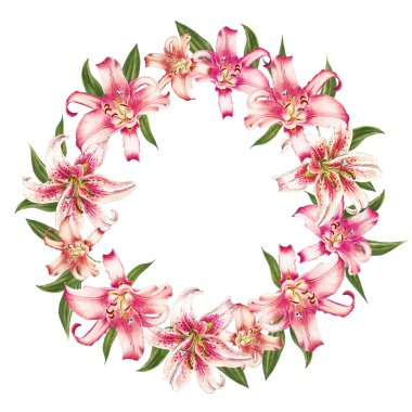 beyaz arka plan üzerinde pembe zambak çerçeve