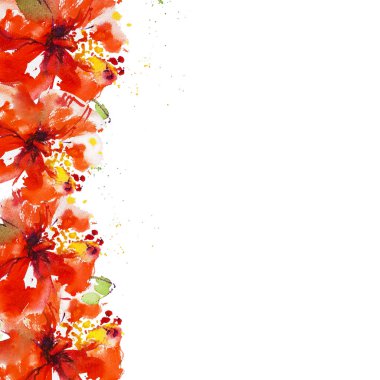 Hibiscus çiçek çerçevesi beyaz izole