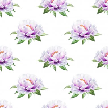 beyaz şakayık çiçekleri pürüzsüz arkaplan resimlemesi