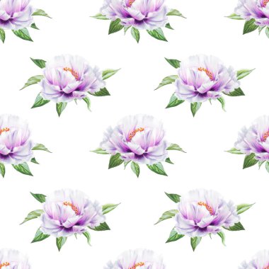 beyaz şakayık çiçekleri pürüzsüz arkaplan resimlemesi