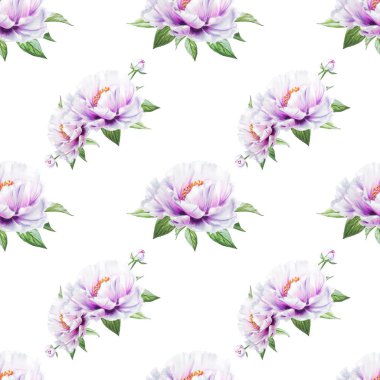 beyaz şakayık çiçekleri pürüzsüz arkaplan resimlemesi