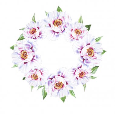 Beyaz arkaplanda beyaz şakayık çiçekleri çerçevesi