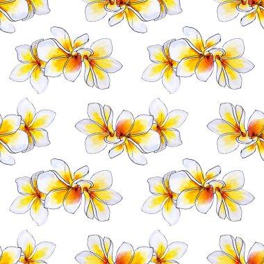 plumeria çiçekler ilerliksiz arka plan deseni