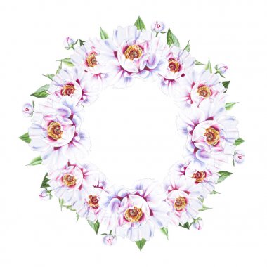 Beyaz arkaplanda beyaz şakayık çiçekleri çerçevesi