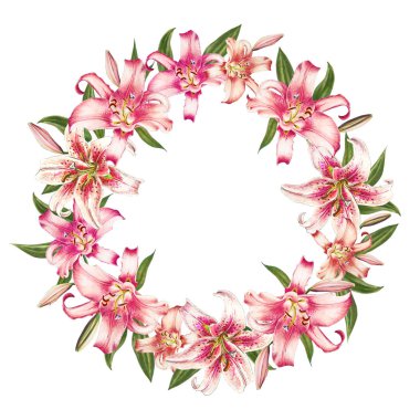 beyaz arka plan üzerinde pembe zambak çerçeve