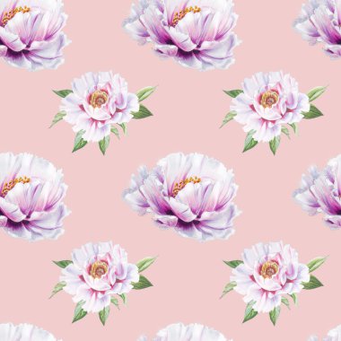 beyaz şakayık çiçekleri pürüzsüz arkaplan resimlemesi