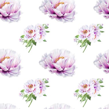 beyaz şakayık çiçekleri pürüzsüz arkaplan resimlemesi