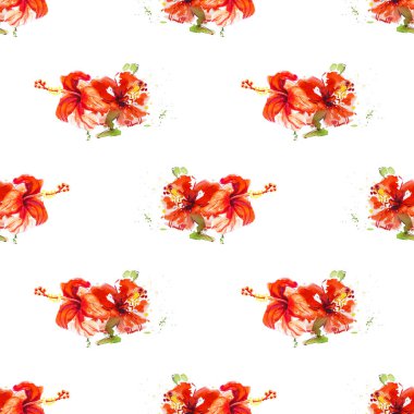 Hibiscus çiçek çerçevesi beyaz izole