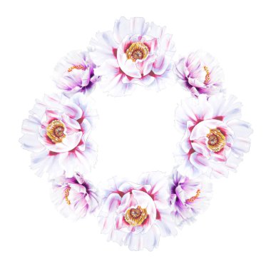 Beyaz arkaplanda beyaz şakayık çiçekleri çerçevesi