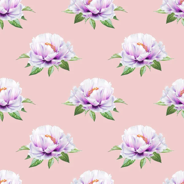 white peony flowers seamless background illustration