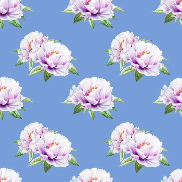 beyaz şakayık çiçekleri pürüzsüz arkaplan resimlemesi