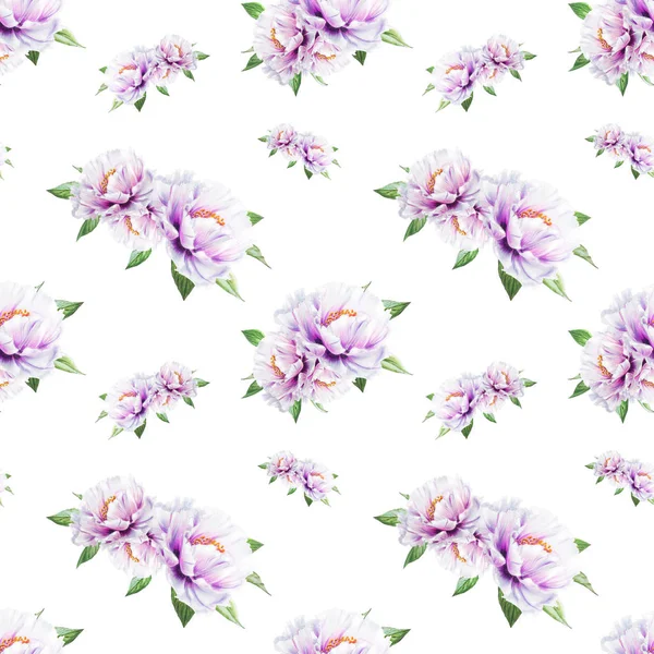 beyaz şakayık çiçekleri pürüzsüz arkaplan resimlemesi