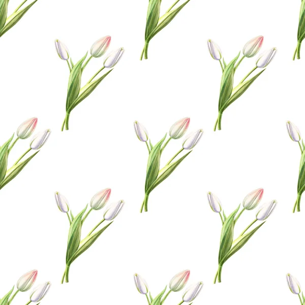 Witte Tulpen Naadloze Patroon Illustratie — Stockfoto