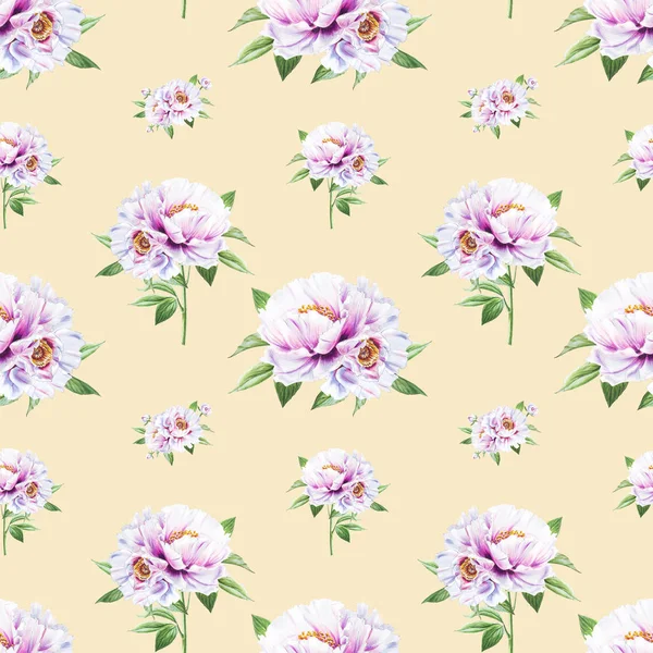 Witte Pioenroos Bloemen Naadloze Achtergrond Illustratie — Stockfoto