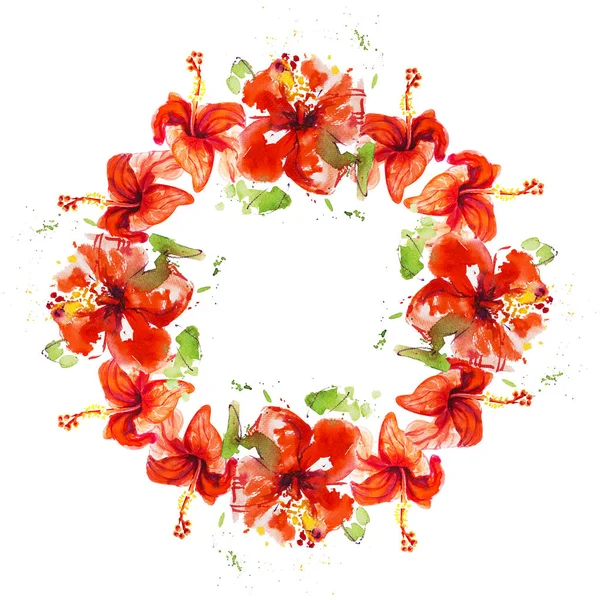 Hibiscus Bloemen Frame Geïsoleerd Wit — Stockfoto