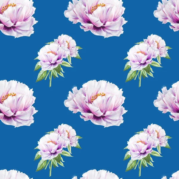 Weiße Pfingstrose Blumen Nahtlose Hintergrund Illustration — Stockfoto