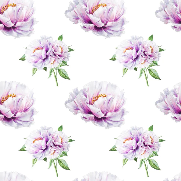 beyaz şakayık çiçekleri pürüzsüz arkaplan resimlemesi