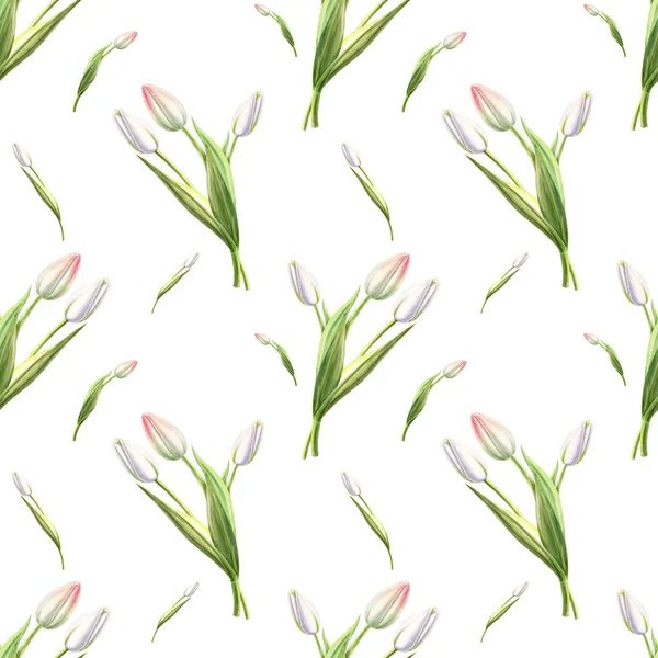 White Tulips Seamless Pattern Illustration — 스톡 사진