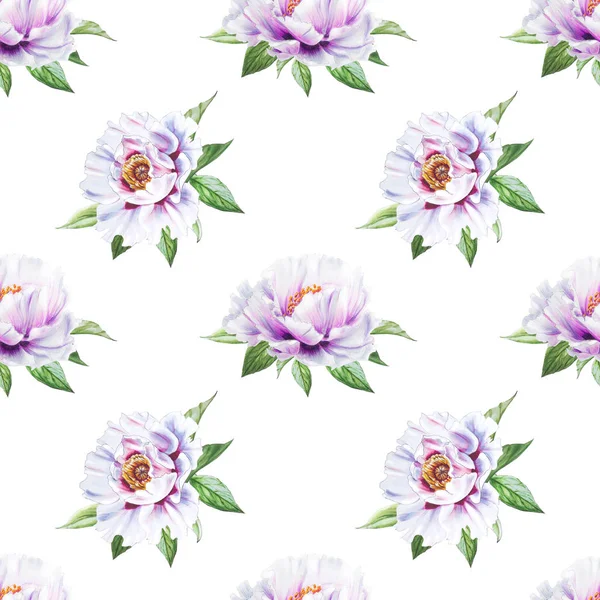 White Peony Flowers Seamless Background Illustration — Stock Photo, Image