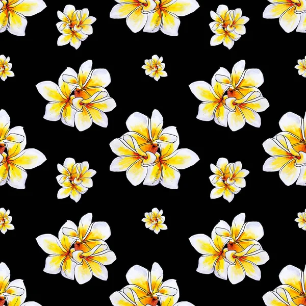 Plumeria Çiçekler Ilerliksiz Arka Plan Deseni — Stok fotoğraf