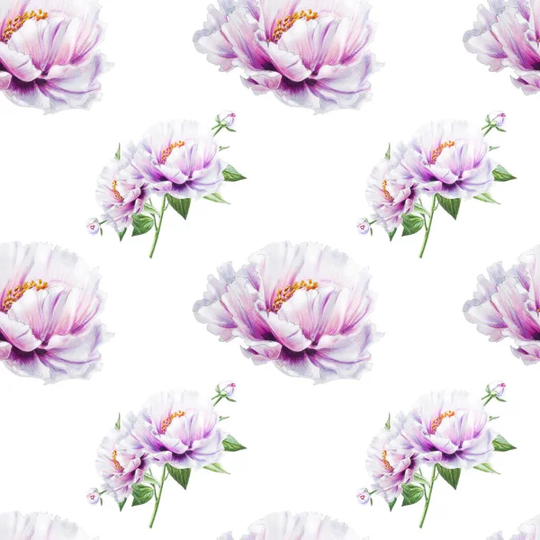 White Peony Flowers Seamless Background Illustration — Stock Photo, Image