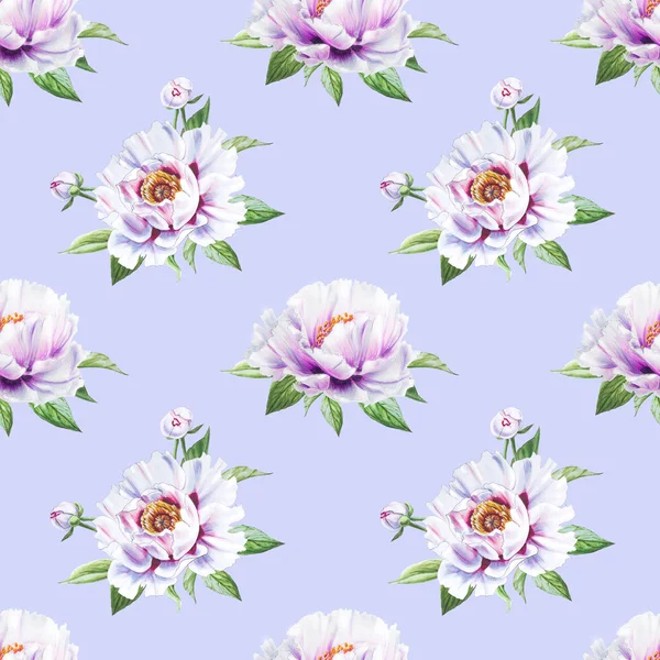 White Peony Flowers Seamless Background Illustration — Stock Photo, Image